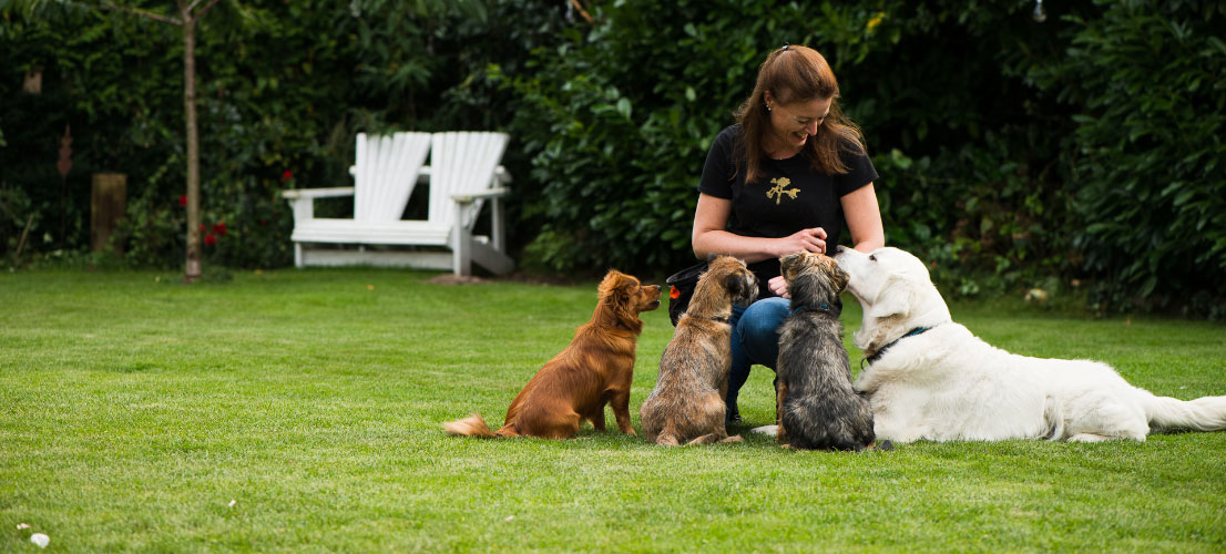 Dog training in the garden