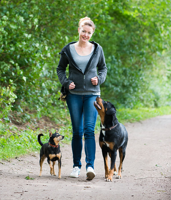 Hundesitting: Spaziergang mit Hunden