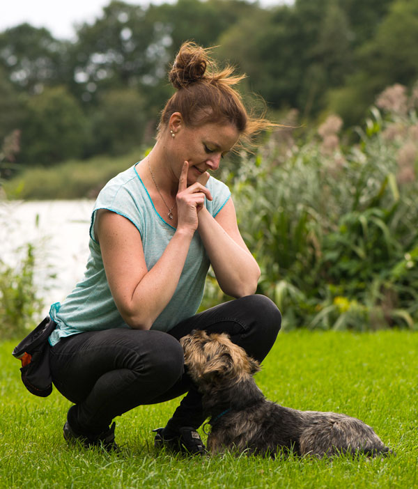 Hundetraining im Freien